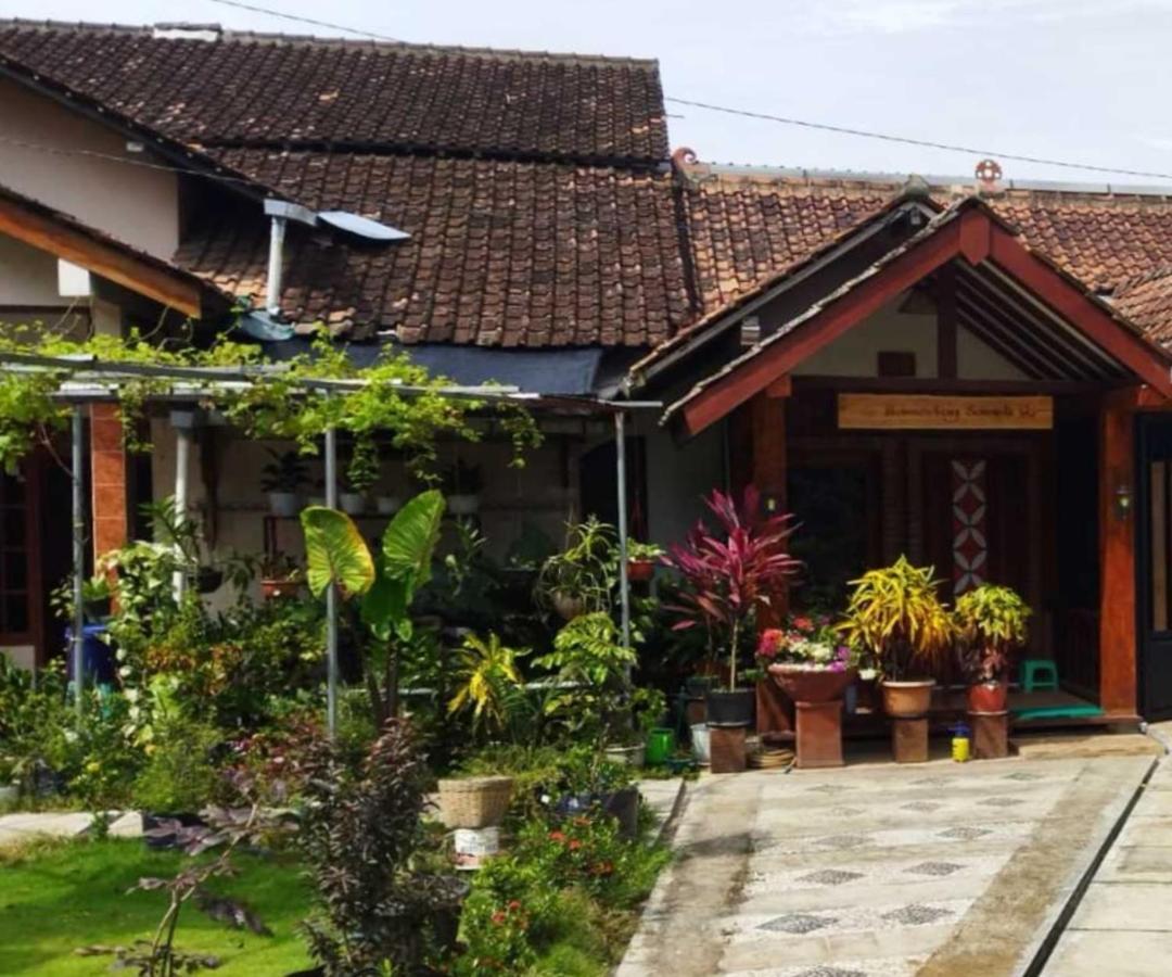 Borobudur Cluster Homestay Candirejo Syariah Mendut Exterior foto